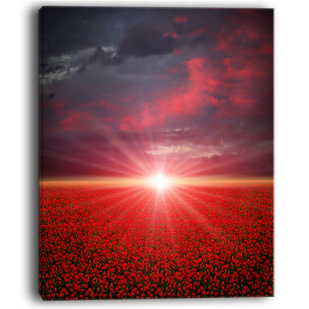 Red Poppies Field at Sunset - Modern Landscape Wall Art Canvas