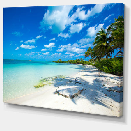Tropical Beach with Palm Shadows - Large Seashore Canvas Print