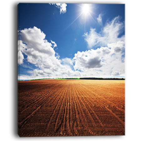 Expansive Field under White Clouds - Modern Landscape Wall Art Canvas
