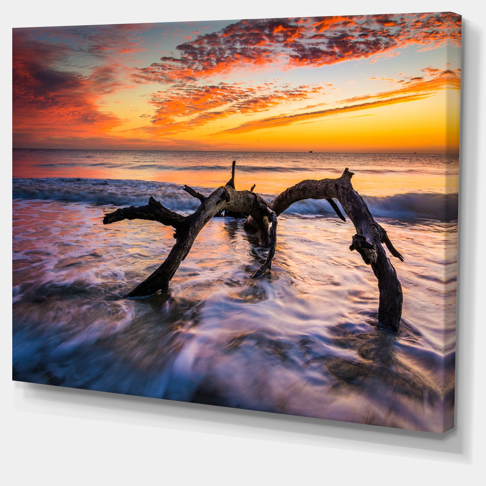 Tree and Waves in the Atlantic Ocean - Seashore Canvas Wall Art