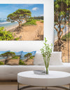 Green Tree on Beach in Kauai Hawaii - Contemporary Seascape Art Canvas