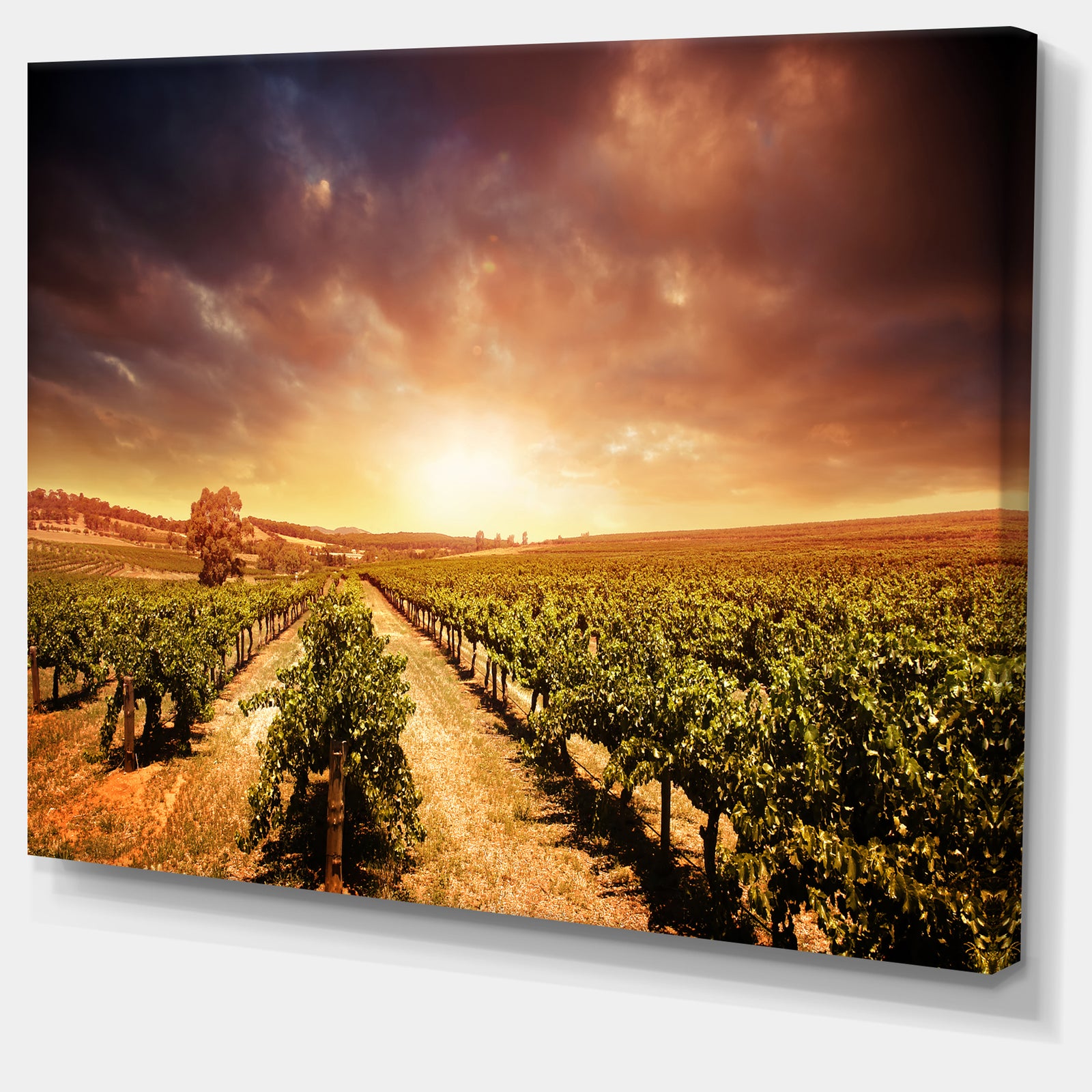 Vineyard with Stormy Sunset - Extra Large Wall Art Landscape