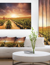 Vineyard with Stormy Sunset - Extra Large Wall Art Landscape