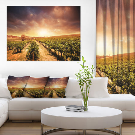 Vineyard with Stormy Sunset - Extra Large Wall Art Landscape