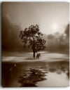 Alone Tree on Island in Sepia - Extra Large Wall Art Landscape