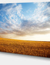 Wheat Field under Summer Sky - Extra Large Wall Art Landscape