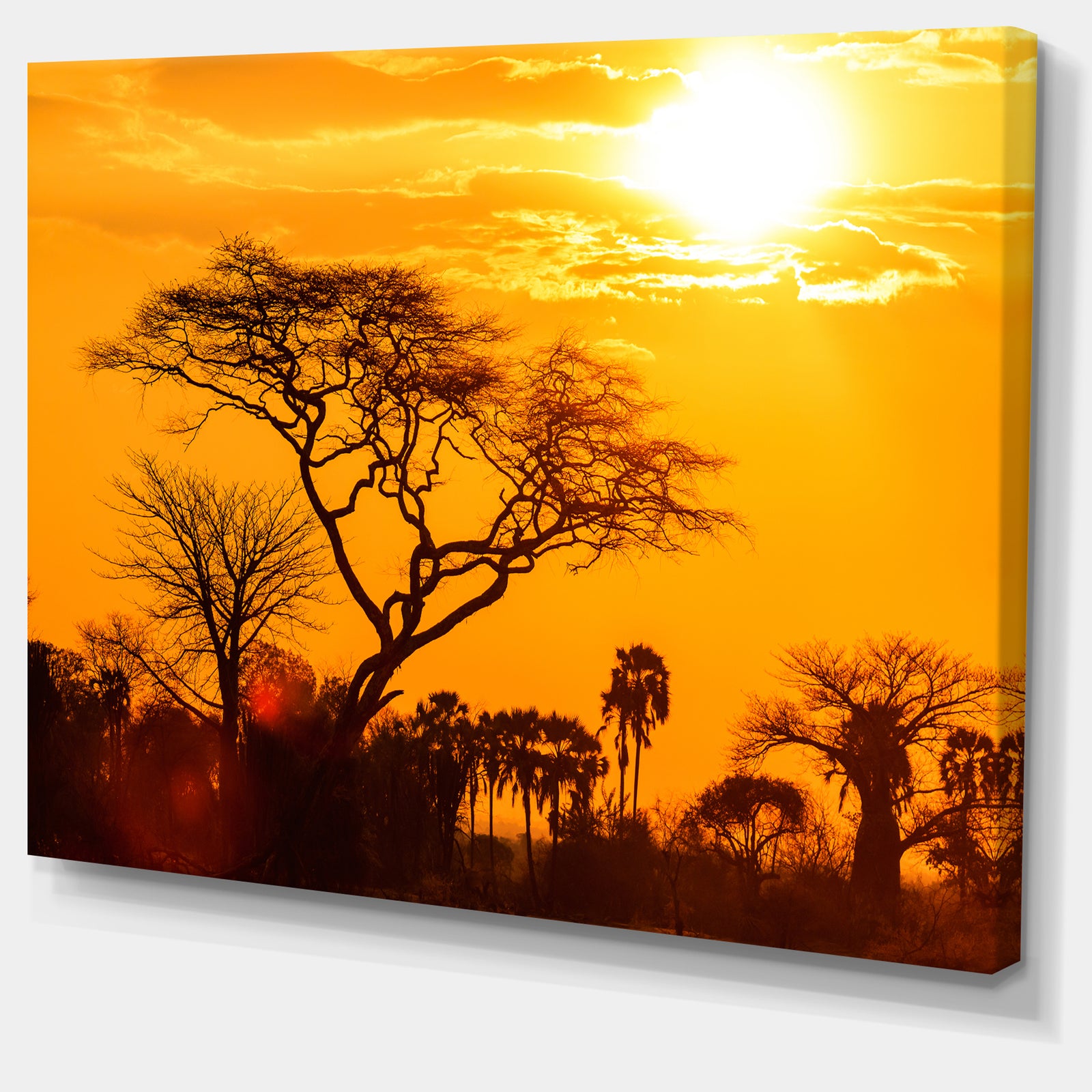 Orange Glow of African Sunset - Extra Large Wall Art Landscape