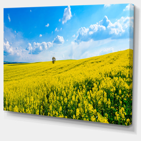Lone Tree in Blooming Cozla Park - Contemporary Landscape Canvas Art