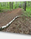 Trunk of Birch on the Track - Contemporary Landscape Canvas Art