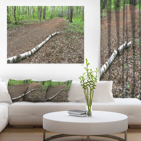 Trunk of Birch on the Track - Contemporary Landscape Canvas Art