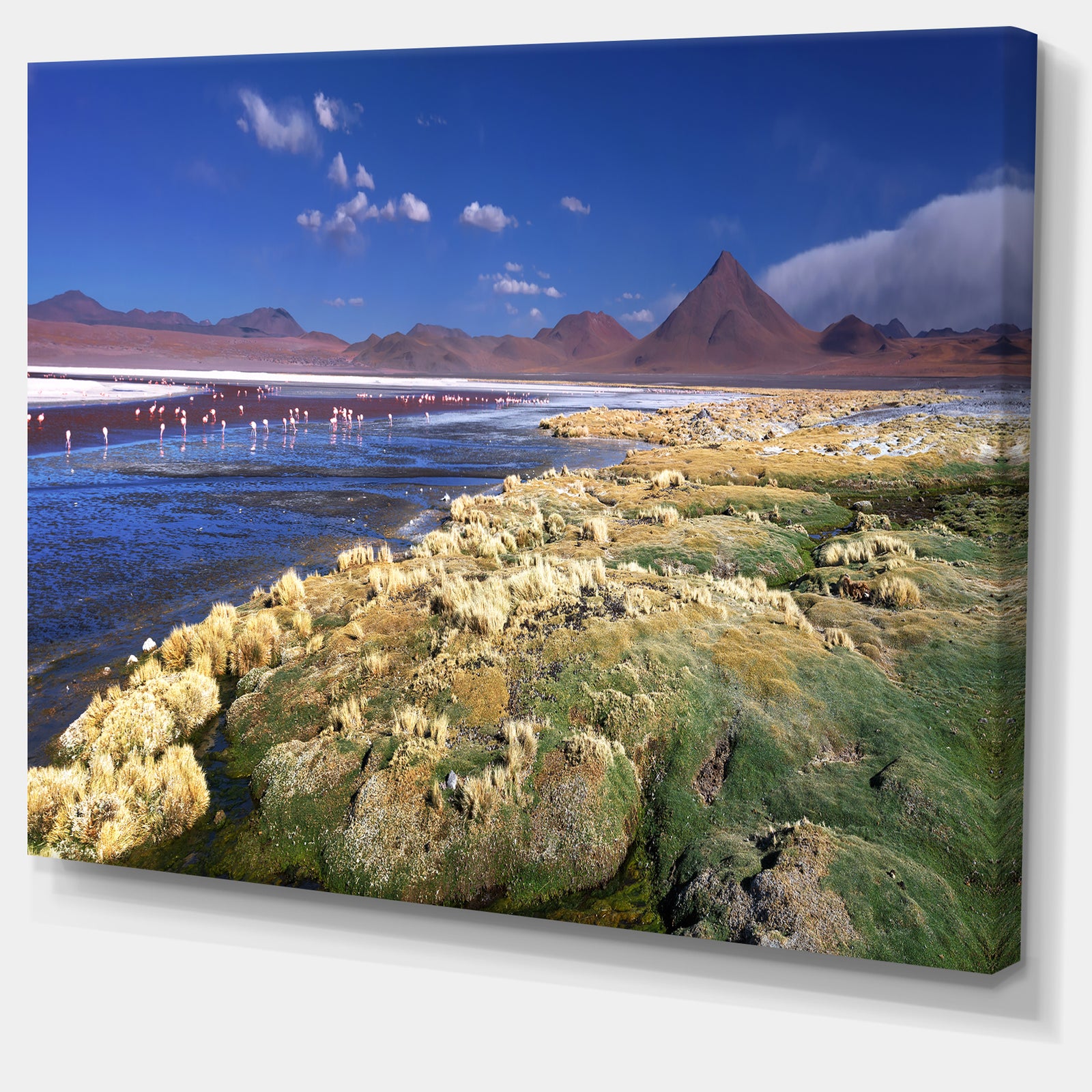 Colorada Lagoon and Pabellon Volcano - Oversized Beach Canvas Artwork