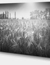 Black and White Wheat Field - Landscape Wall Art Canvas Print