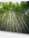 Bamboo forest of Kyoto Japan. - Forest Canvas Wall Art Print