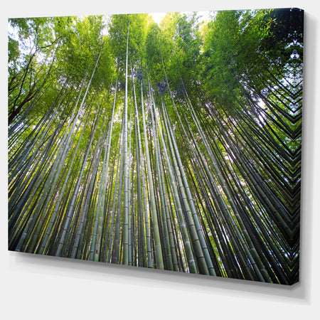 Bamboo forest of Kyoto Japan. - Forest Canvas Wall Art Print