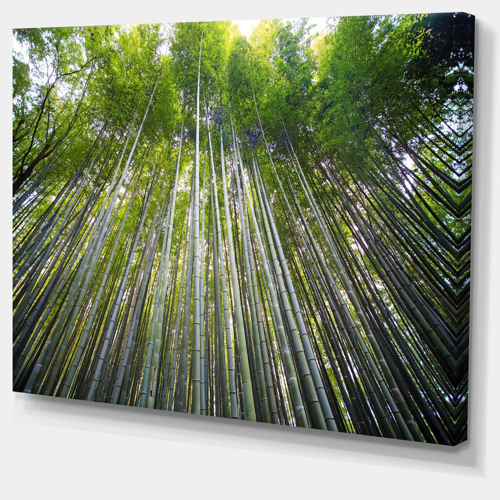 Bamboo forest of Kyoto Japan. - Forest Canvas Wall Art Print