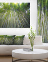 Bamboo forest of Kyoto Japan. - Forest Canvas Wall Art Print