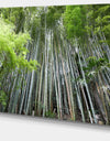 Dense Bamboo Forest of Japan - Forest Canvas Wall Art Print