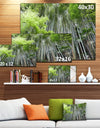 Dense Bamboo Forest of Japan - Forest Canvas Wall Art Print