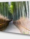 Straight Path in Bamboo Forest - Forest Canvas Wall Art Print