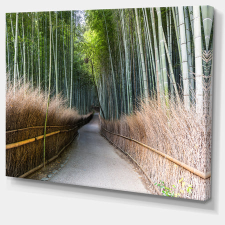 Straight Path in Bamboo Forest - Forest Canvas Wall Art Print