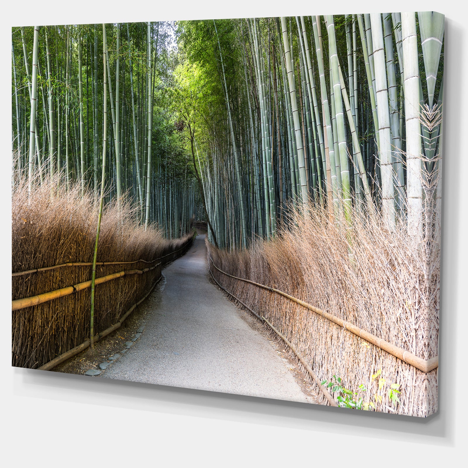 Straight Path in Bamboo Forest - Forest Canvas Wall Art Print