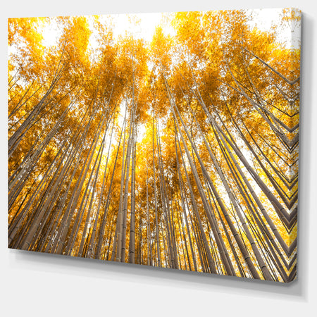 Autumn Bamboo Grove in Yellow - Oversized Forest Canvas Artwork