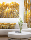 Autumn Bamboo Grove in Yellow - Oversized Forest Canvas Artwork