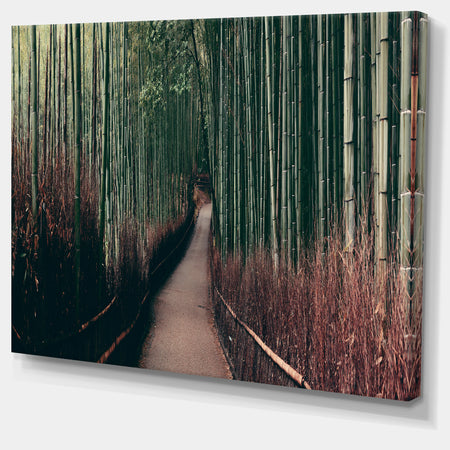 Bamboo Grove in Arashiyama Panorama - Oversized Forest Canvas Art