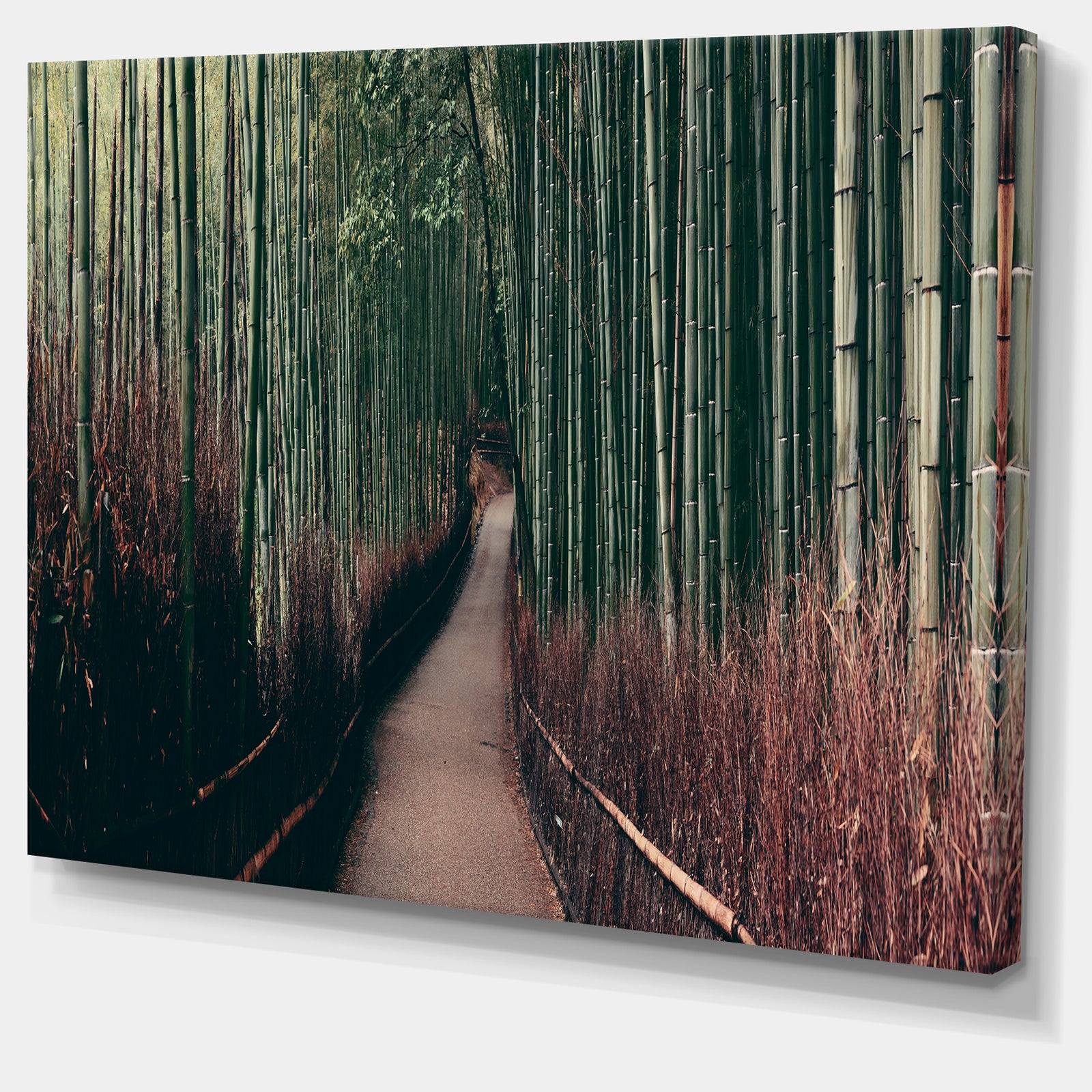 Bamboo Grove in Arashiyama Panorama - Oversized Forest Canvas Art