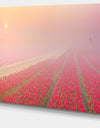 Sunrise over Rows of Tulips - Landscape Wall Art Canvas Print