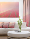 Sunrise over Rows of Tulips - Landscape Wall Art Canvas Print