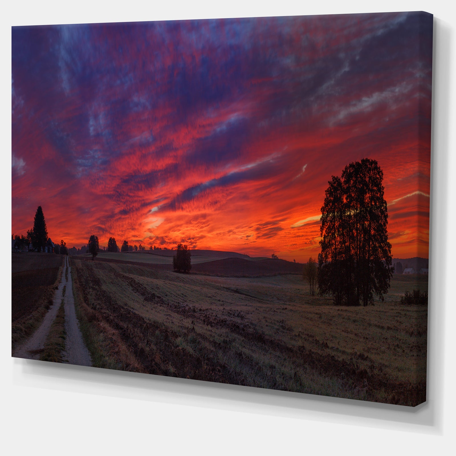 Gorgeous Cloudy Sky during Fall - Landscape Print Wall Artwork