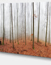 Fall Forest with Trees at Mist - Oversized Forest Canvas Artwork