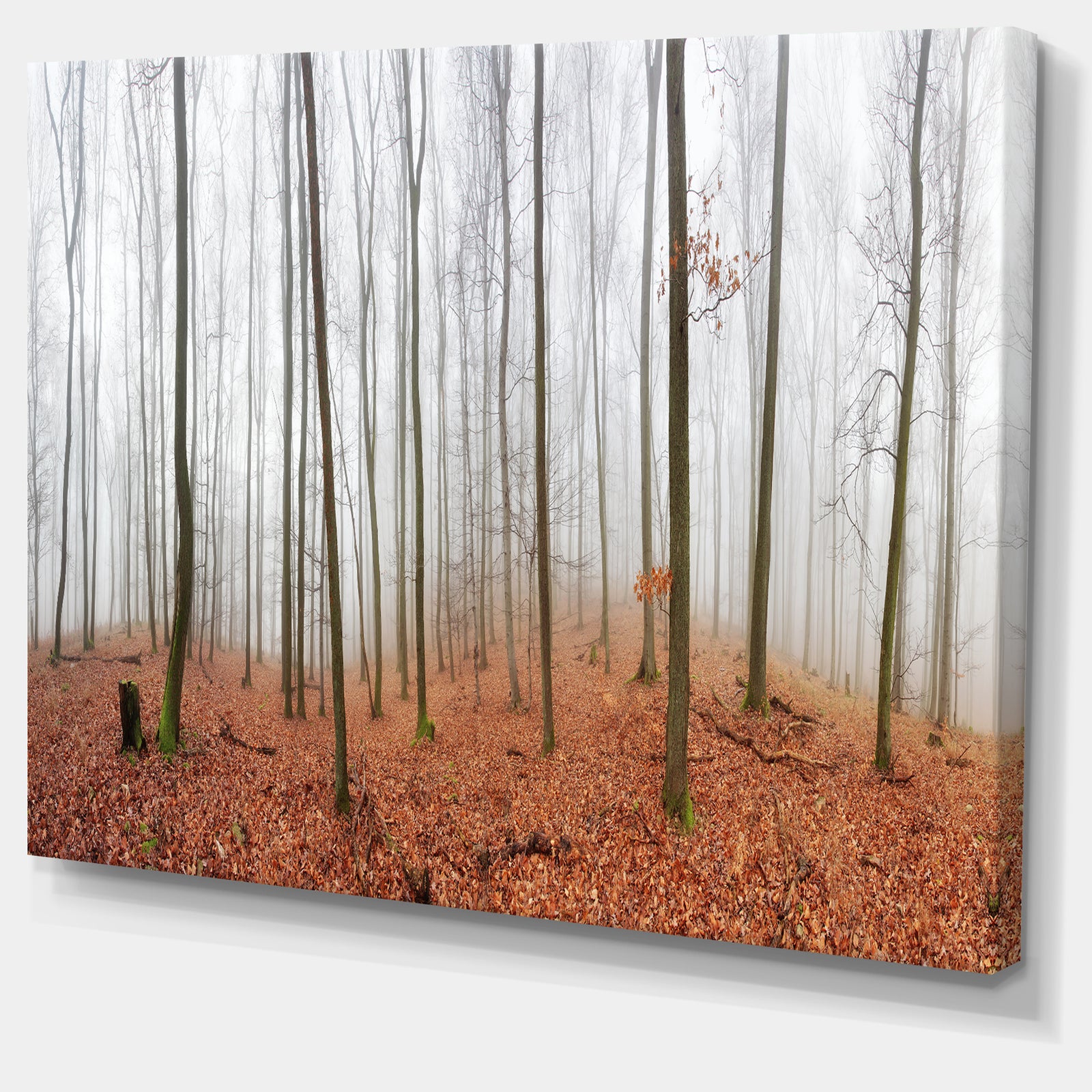 Fall Forest with Trees at Mist - Oversized Forest Canvas Artwork