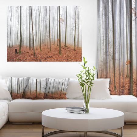 Fall Forest with Trees at Mist - Oversized Forest Canvas Artwork