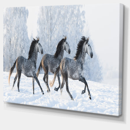 Herd of Horses Run Across Snow - Landscape Print Wall Artwork