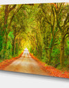 Fall Greenery and Road Straight Ahead - Oversized Forest Canvas Art