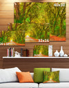 Fall Greenery and Road Straight Ahead - Oversized Forest Canvas Art