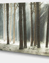 Maritime Pine Tree Forest with Rays - Oversized Forest Canvas Art