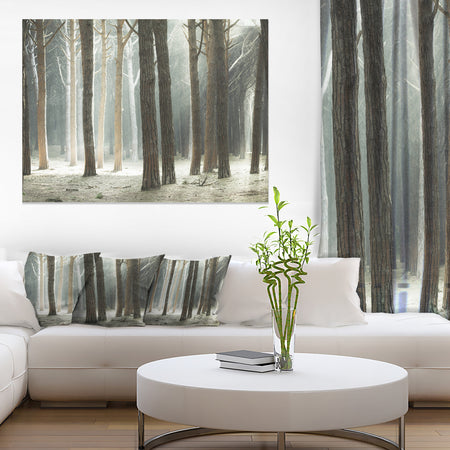 Maritime Pine Tree Forest with Rays - Oversized Forest Canvas Art