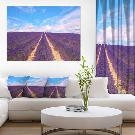 Blooming Lavender Flower Field - Oversized Landscape Wall Art Print
