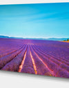 Lavender Flowers and Clear Sky - Oversized Landscape Wall Art Print