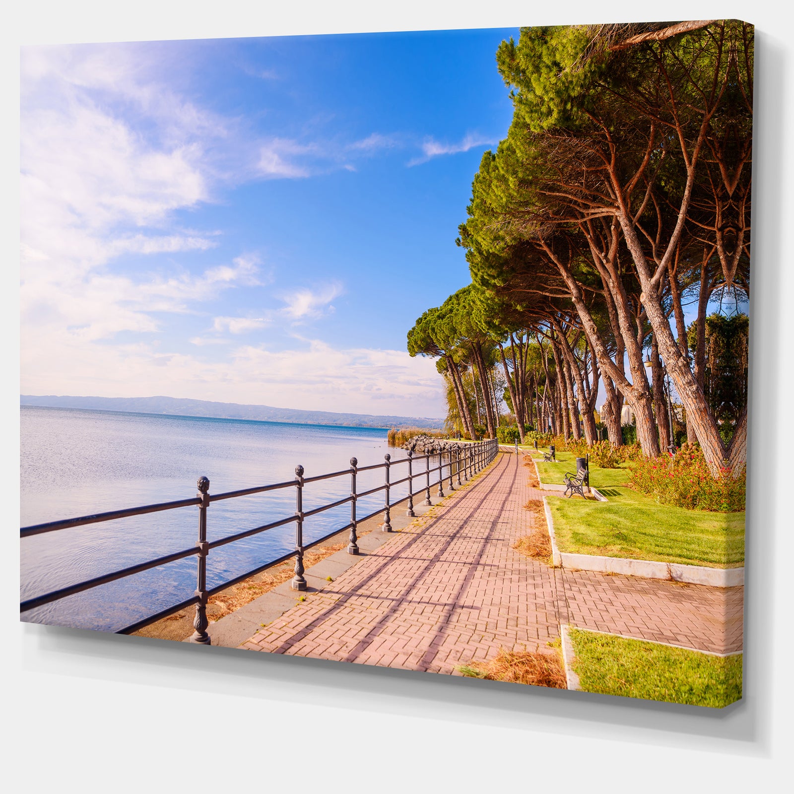 Promenade and Pine Trees in Italy - Oversized Landscape Wall Art Print