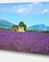 Old House and Tree in Lavender Field - Oversized Landscape Wall Art Print