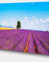 Remote House and Tree in Lavender Field - Oversized Landscape Wall Art Print