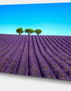 Lavender Flowers and Uphill Green Trees - Oversized Landscape Wall Art Print