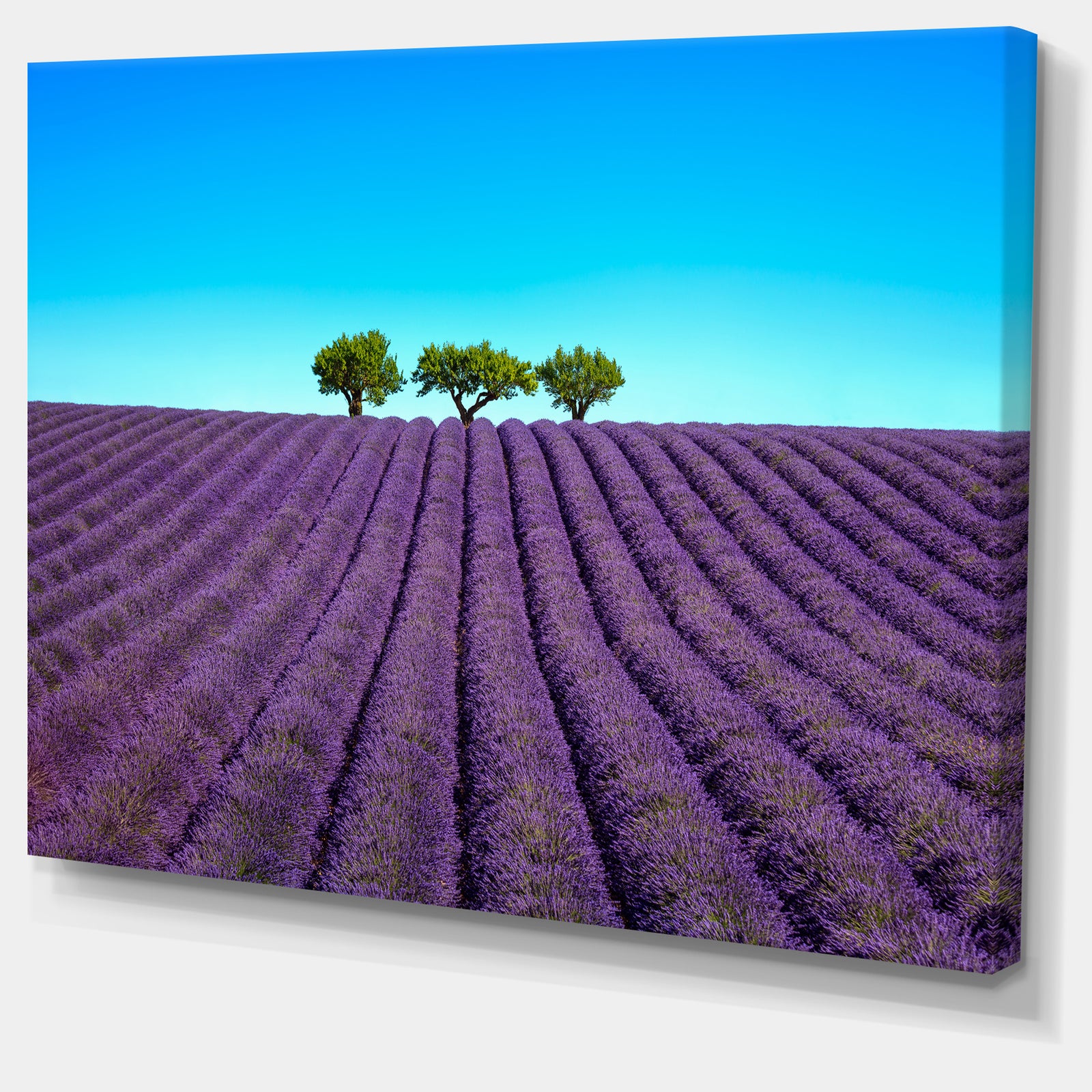 Lavender Flowers and Uphill Green Trees - Oversized Landscape Wall Art Print