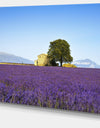 Lavender Flowers Blooming Field - Oversized Landscape Wall Art Print