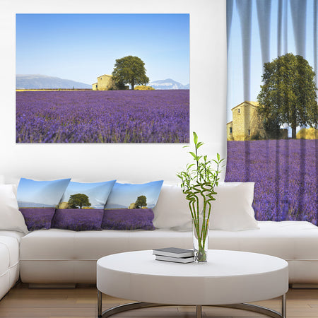 Lavender Flowers Blooming Field - Oversized Landscape Wall Art Print