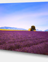 Lavender Flowers with Old House - Oversized Landscape Wall Art Print